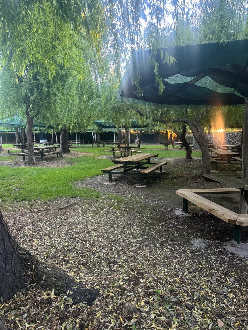 Mesas de picnic a la sombra de los sauces del parque