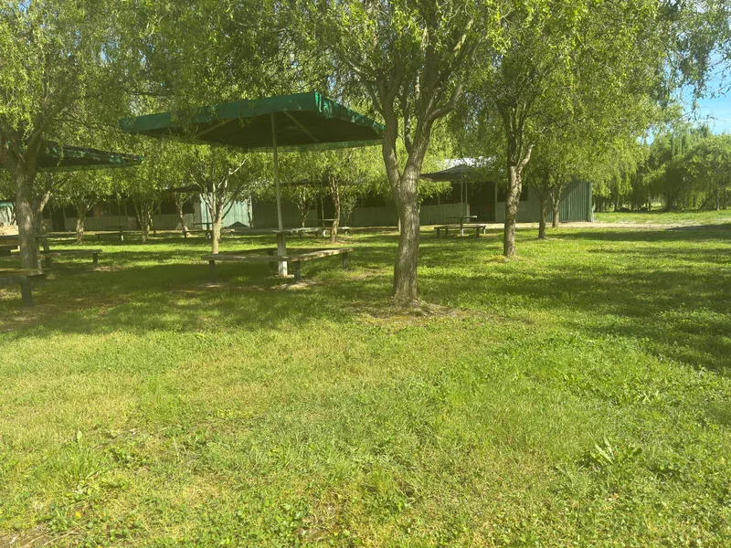 Mesas de picnic entre sauces y áreas verdes